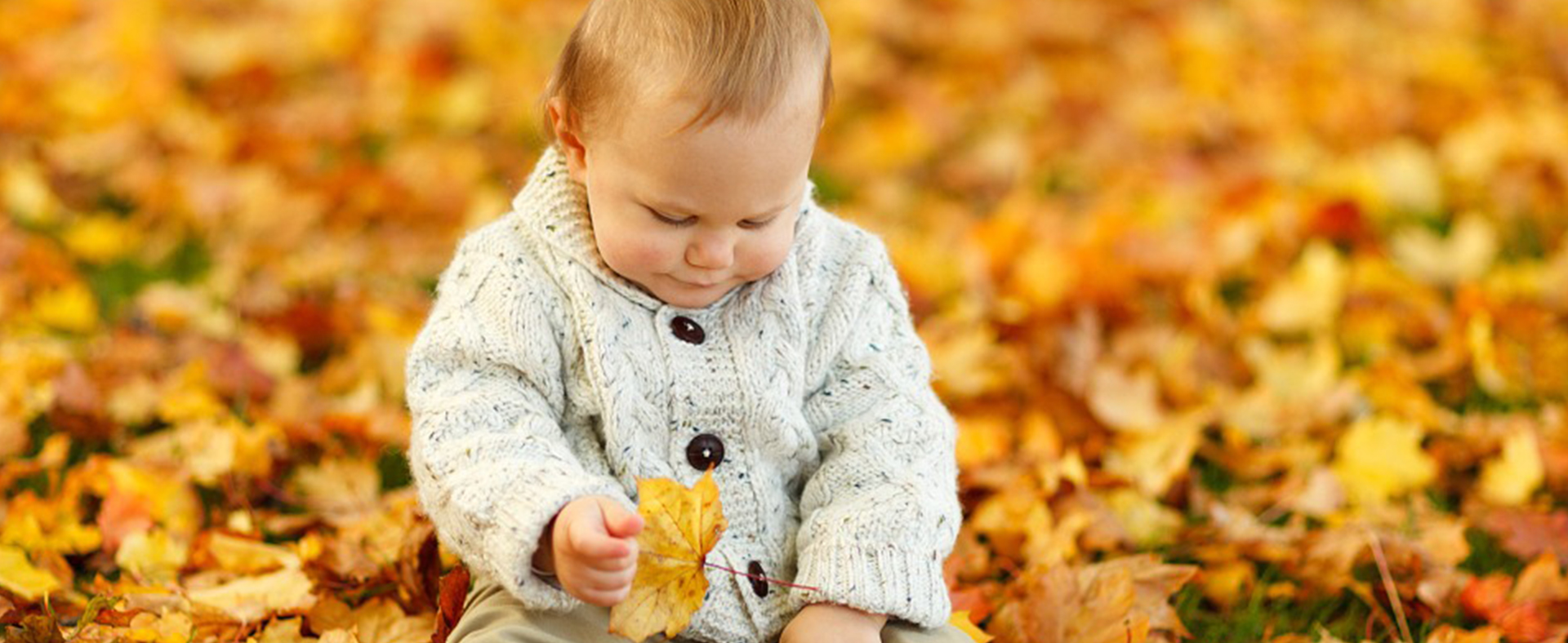 Fall Cleaning to Keep Your Allergies in Check